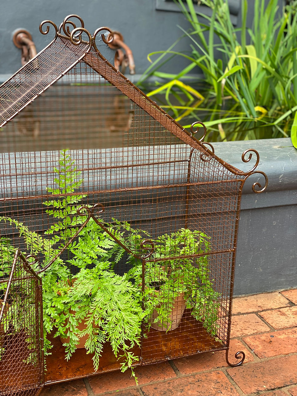 Thumbnail: Bird Cage