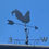 Thumbnail: Rooster Weather/Wind Vane