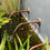 Thumbnail: Vintage Water Spout