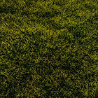 go touch some grass.jpeg