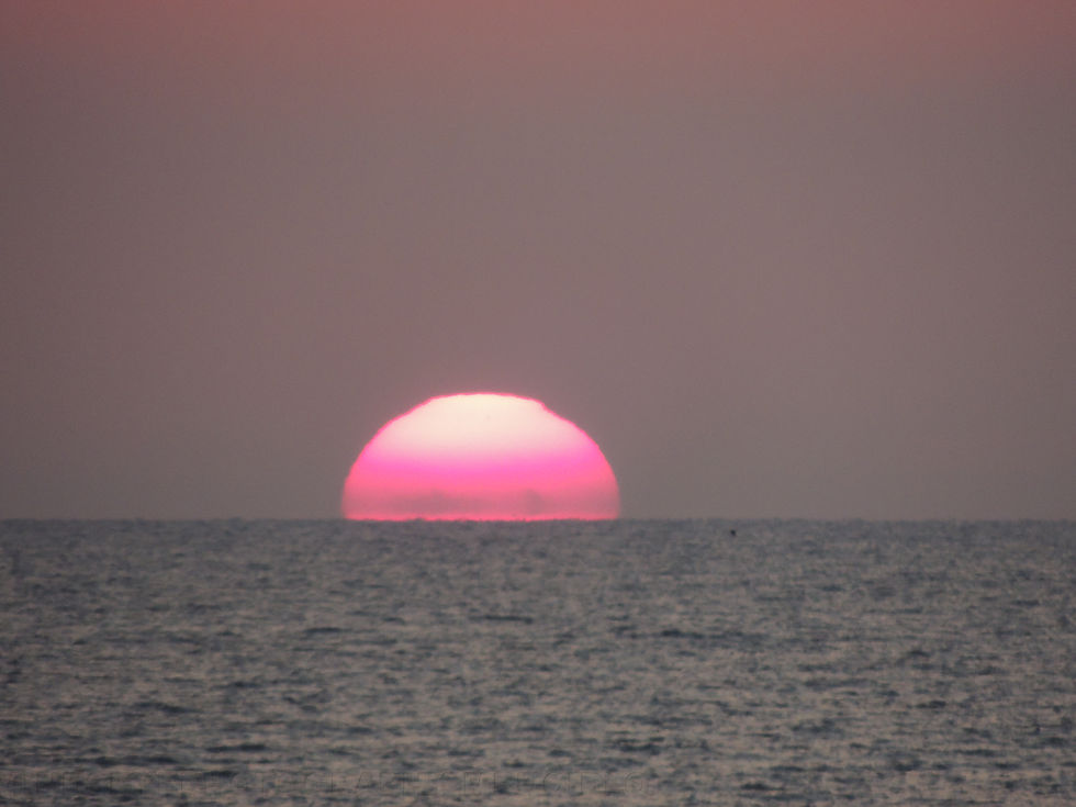 kuri beach2013 466