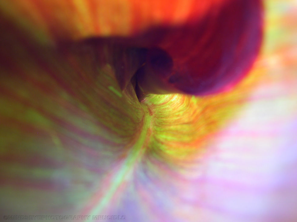 july52011 062