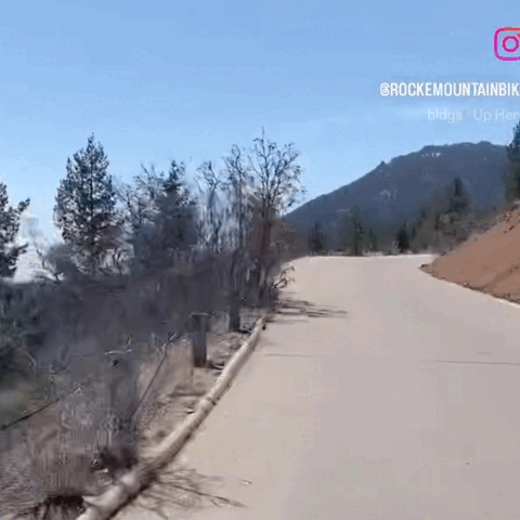 merged.gif