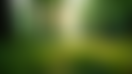 The Importance of Sustainable Living for Future Generations