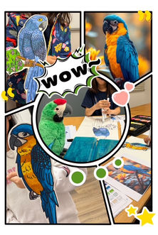 Colorful parrot-themed artwork and paper crafts by students, celebrating wildlife.