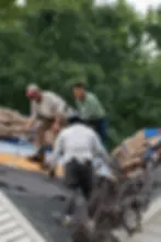 three-roofers-working-together-removing-old-shingles-and-preparing-roof-deck-with-bundles-of-materials-stacked-on-top-surrounded-by-green-trees