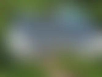 Large yellow house with white trim and dark gray CertainTeed Landmark Pro shingle roof surrounded by green yard, trees, brick walkway, and backyard pool in view.