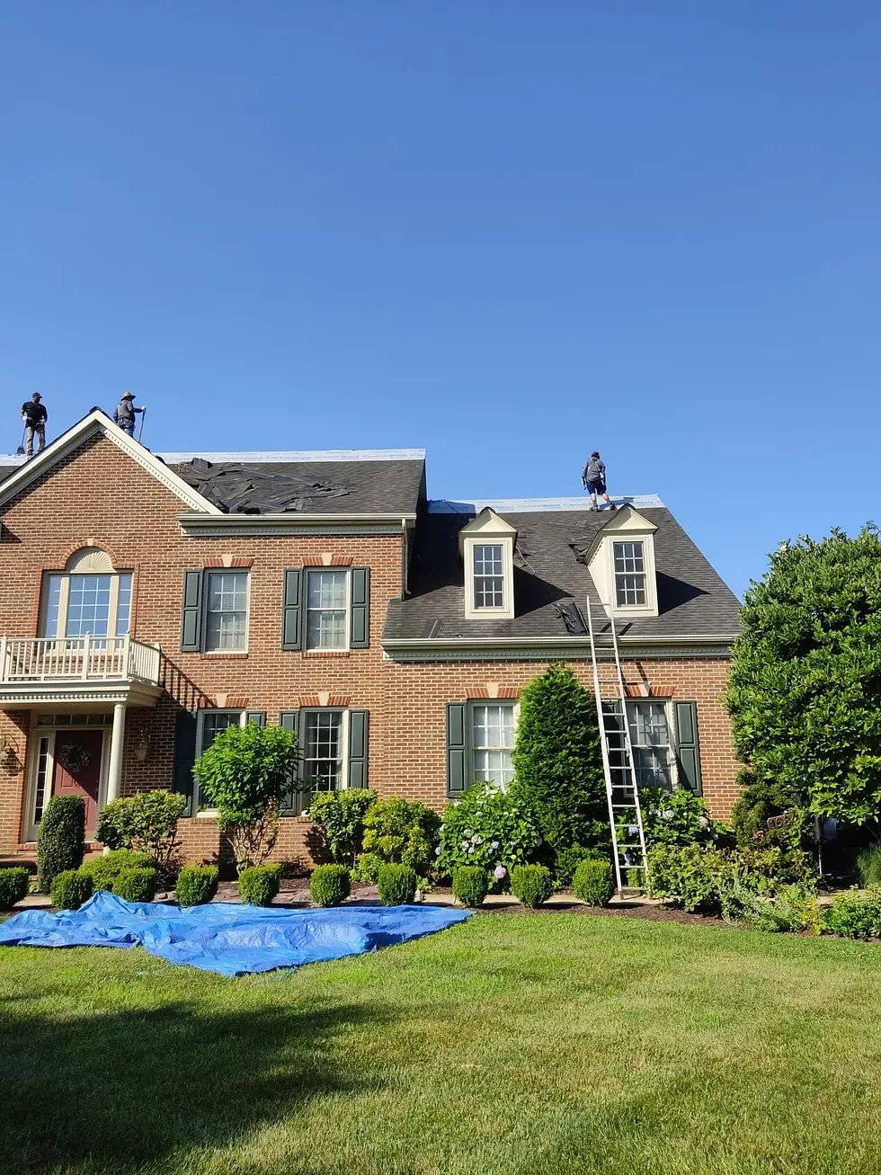 Workers installing shingles on brick house with dormer windows ladder and blue tarp on lawn showing progress stage in roof replacement timeline under clear blue sky.