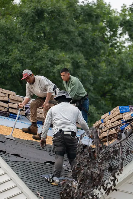 Three roofers working together removing old shingles and preparing roof deck with bundles of materials stacked on top surrounded by green trees.
