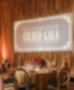 8'x14' Screens & Christie 14K Projectors
