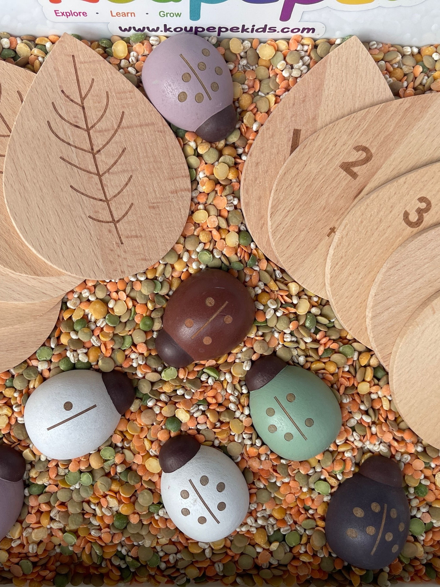 Deluxe Wooden Counting Ladybugs Sensory Bin