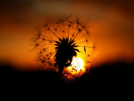 You Don’t Have to Travel Far to See the World