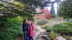 original_7865beb5-77d3-444f-8405-de716c65769e_20221110_103441