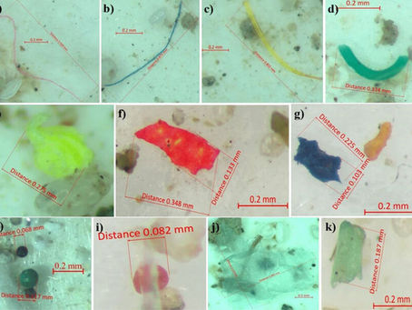 Images of microplastic particles identified by using an Olympus SZX16 optical microscope: filaments (a–d), fragments (e–g), granules (h, i), and films (j, k)