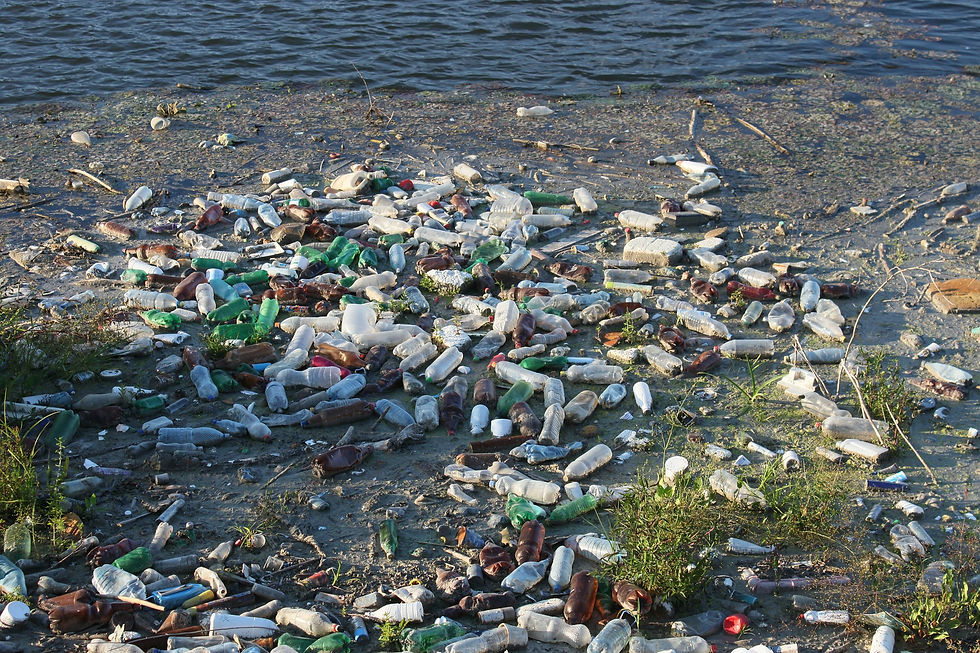 Garbage on the beach