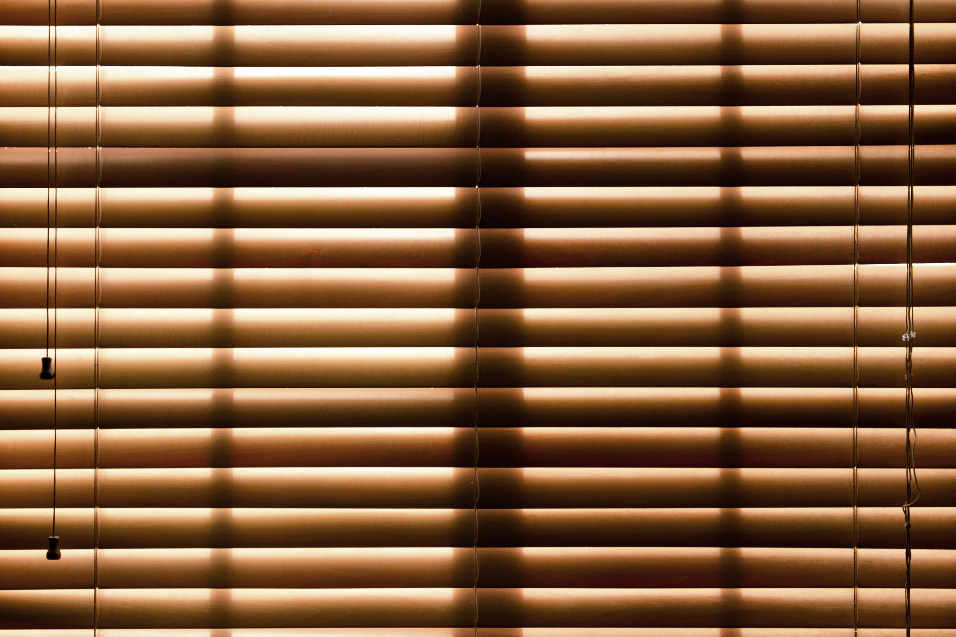 Bamboo Chick Blind