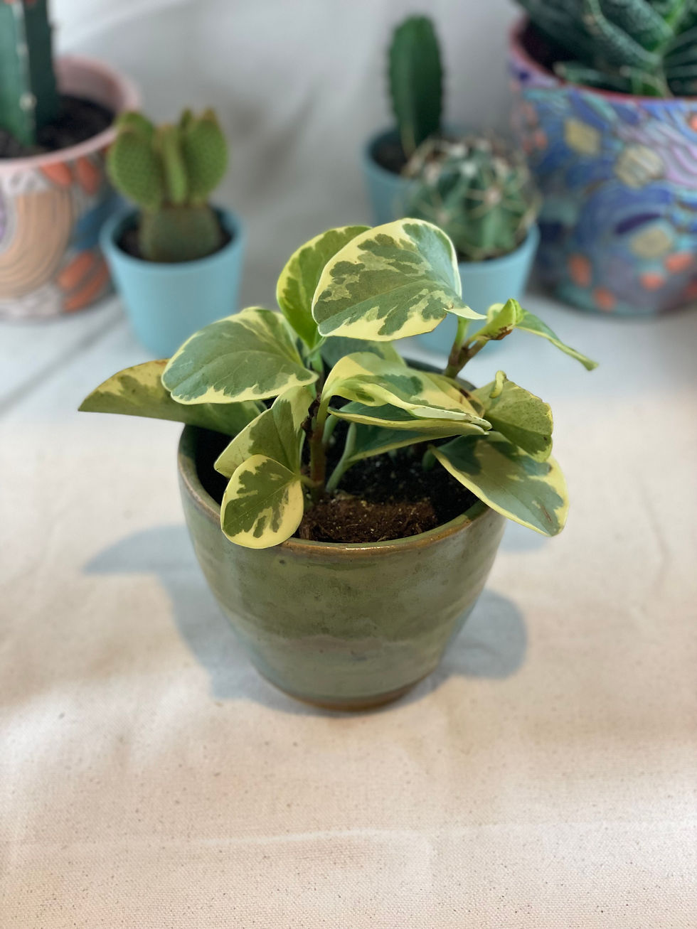 Thumbnail: Handmade Flower Pot - Green
