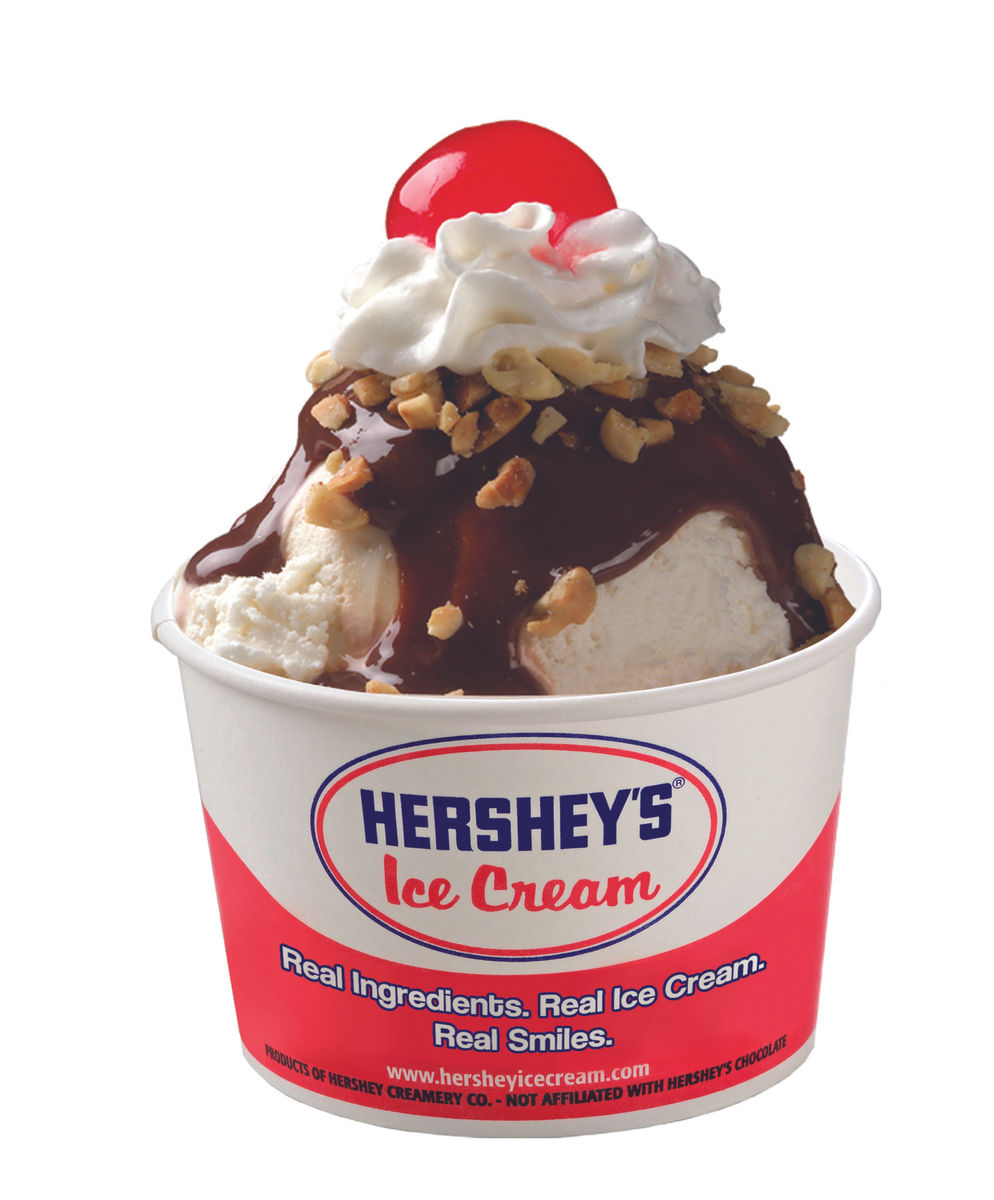 The Ice Cream Shoppe