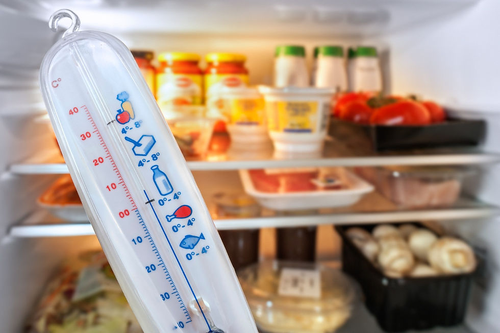 The Role of Cold Chain Logistics in Food Safety