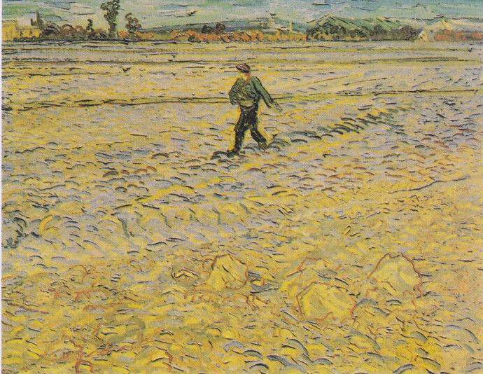 15ª DOMENICA DEL TEMPO ORDINARIO