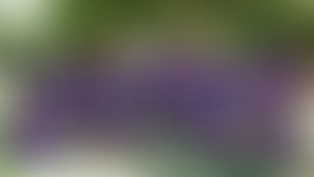 סמינריון רכזי סבבתא תשפ"א