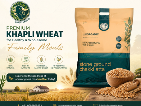 Premium Khapli Wheat for Healthy & Wholesome Family Meals