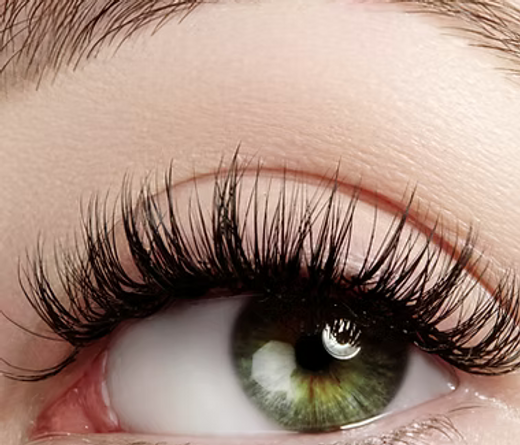 Long Lashes.png