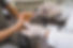istockphoto-1349810848-612x612-2.jpg