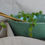 Thumbnail: Spotted Green Salad bowl