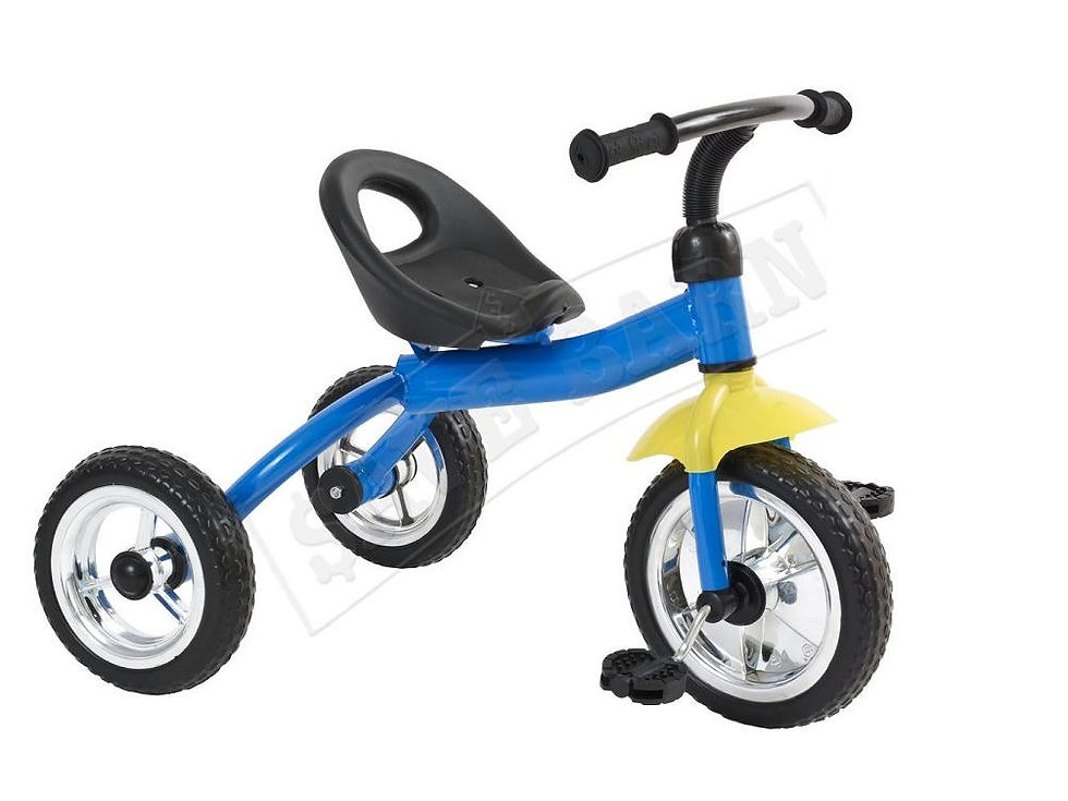 10 INCH TRIKE2