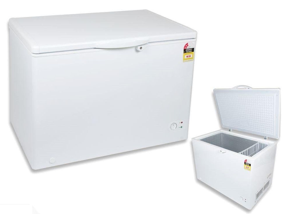 300L FREEZER