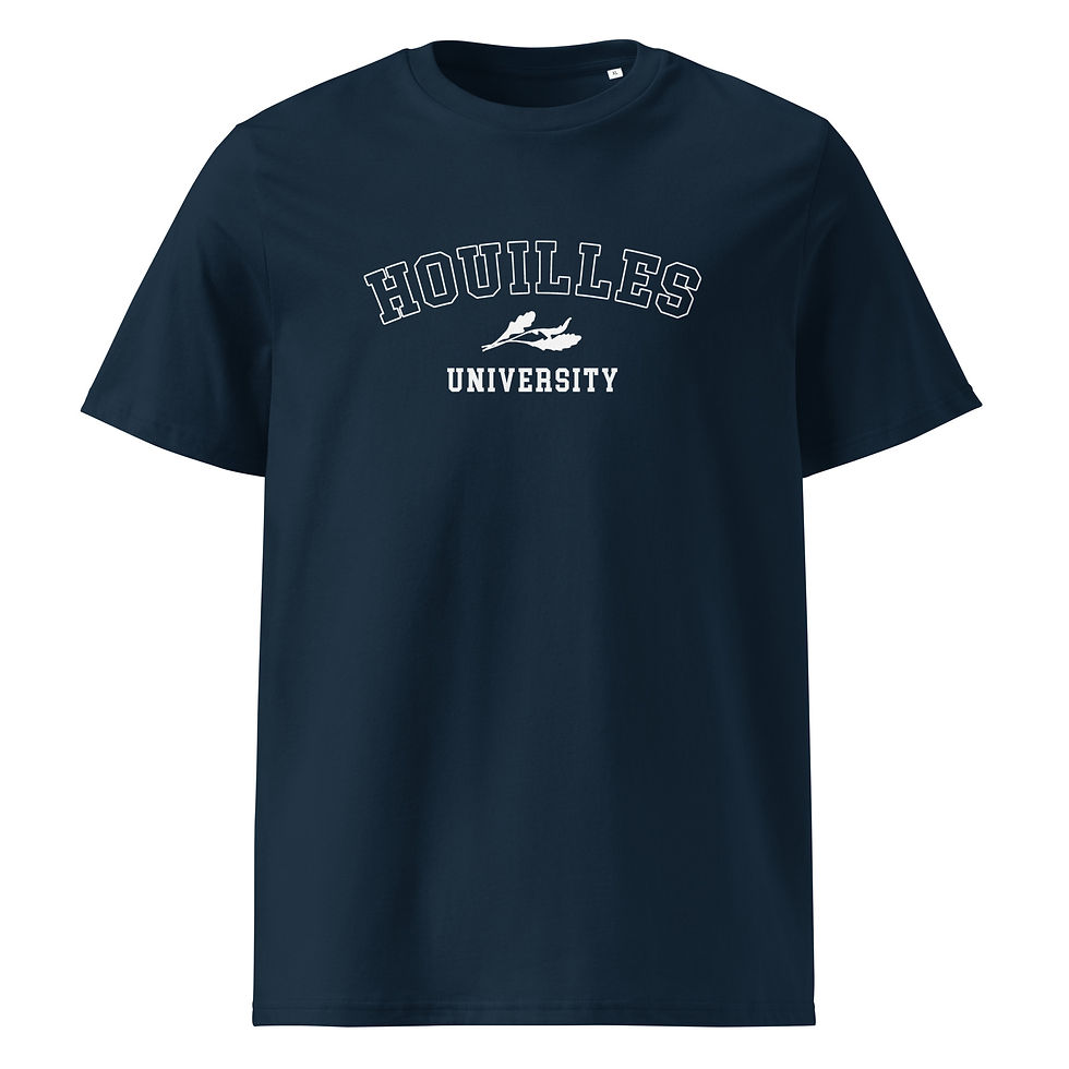 Miniature : HOUILLES UNIVERSITY 