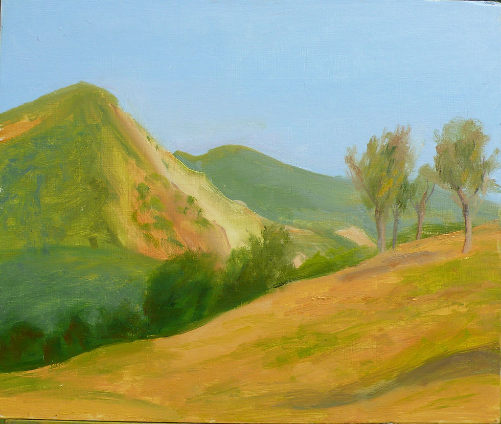 Mine mountain with plum trees by Ilona Deak