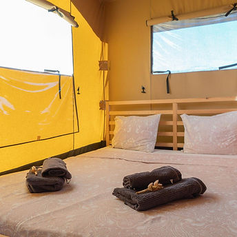 WhatsApp Image 2024-11-26 at 15.53.49 (4).jpeg