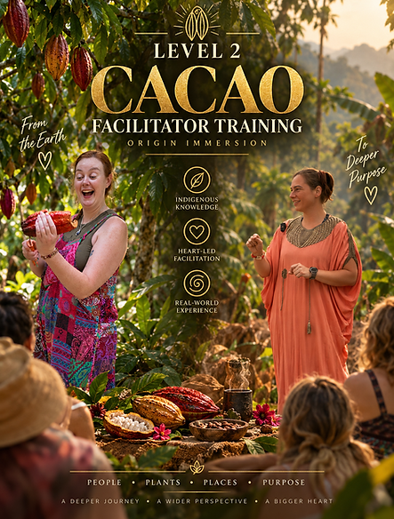 facilitatorbtraining level 2.png