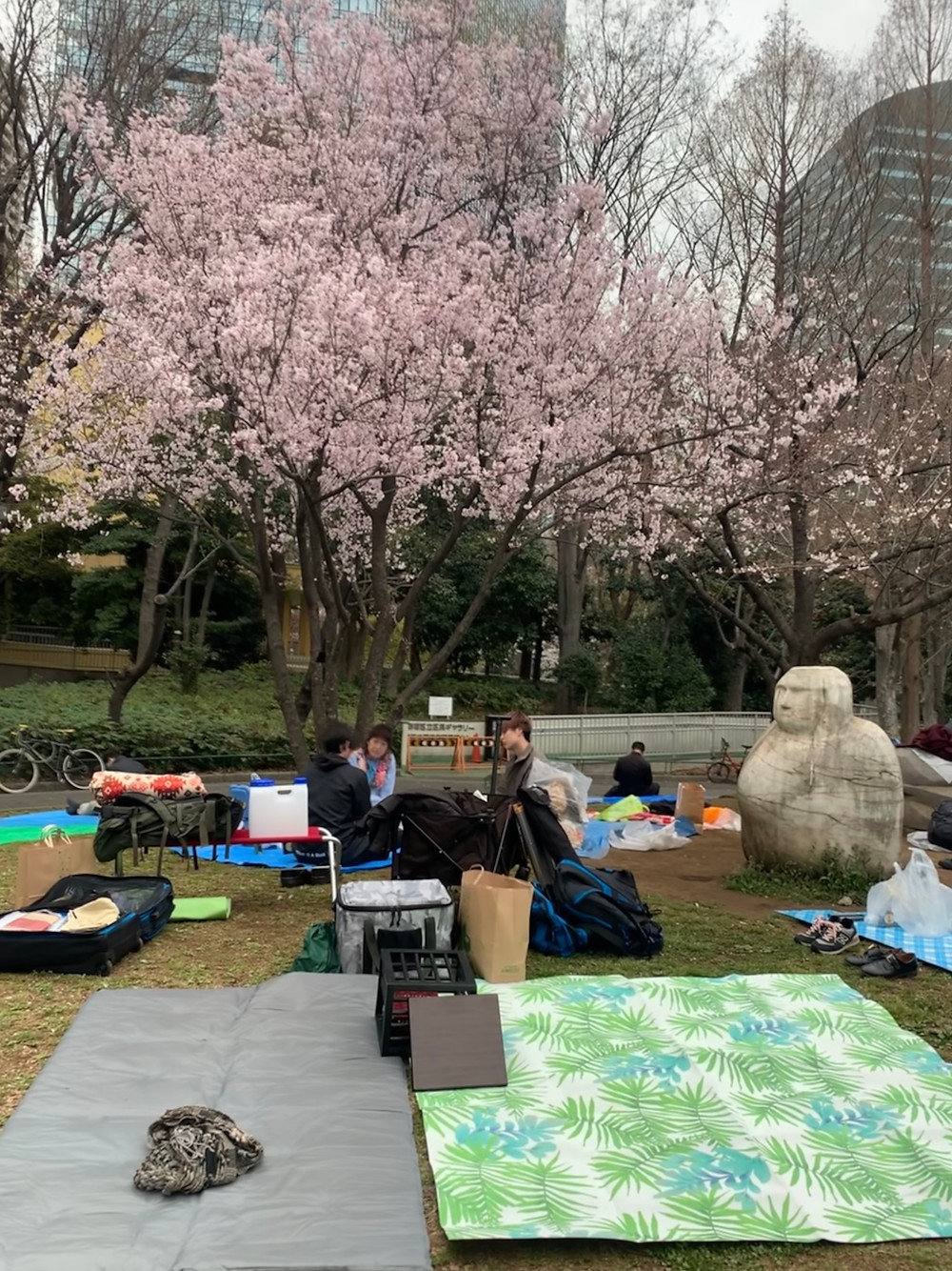新宿中央公園 お花見