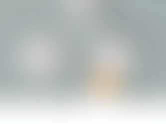 【ガジェット】で気になる商品、ネイチャーリモとは！？