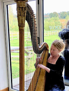 Katie McClaughry wedding harpist at Hayne, Devon. Katie offers a friendly, professional service providing harp and trumpet music for weddings, funerals, private and corporate events as well as playing for orchestral and choral concerts. Katie McClaughry is a harp teacher, offering harp lessons in south Devon and Cornwall.