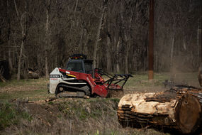 skid steer, mulching, right of way, log, mulch, dust 