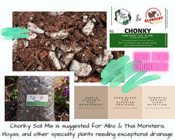 chonky soil ad