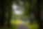 TSE_Gravel_2023_Stage2_FULL-190.jpg