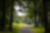 TSE_Gravel_2023_Stage2_FULL-190.jpg