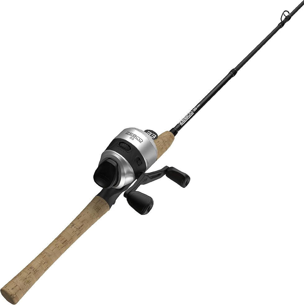 Zebco 33 cork rod and reel