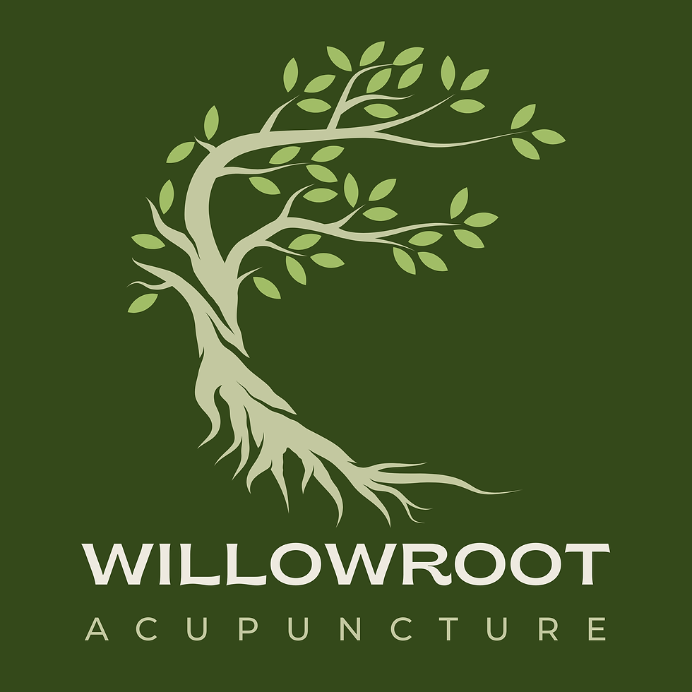 Final Willowroot Logo (1500 x 1500 px).png