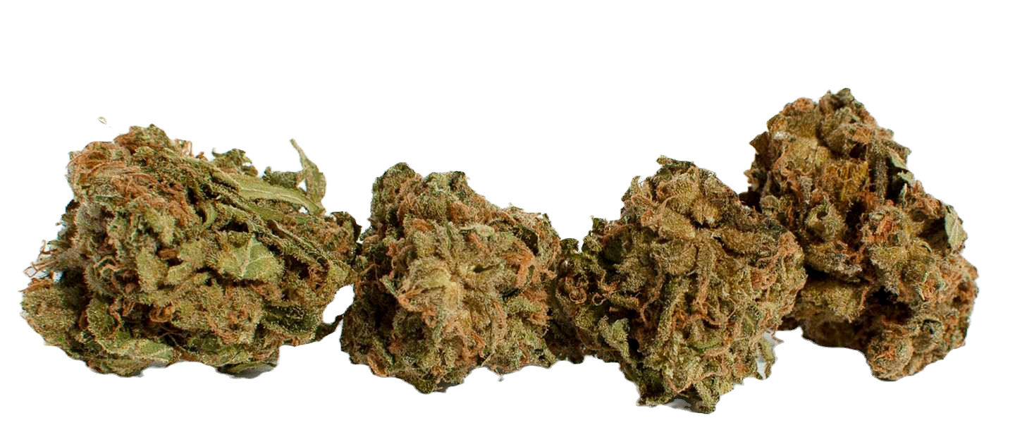 Citrus Orchard Super OZ