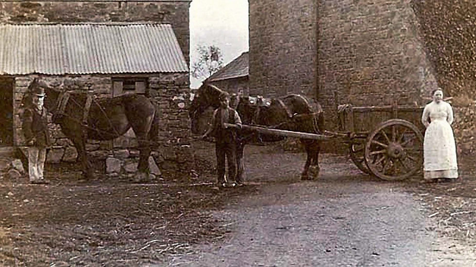 Ernest Hammer's Father