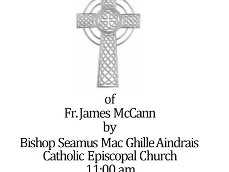 Kevin's Oratory Celebrates a Priestly Ordination