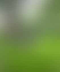 Rebalancing the Feminine and Masculine Energy Within