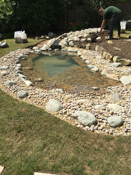Wildlife pond