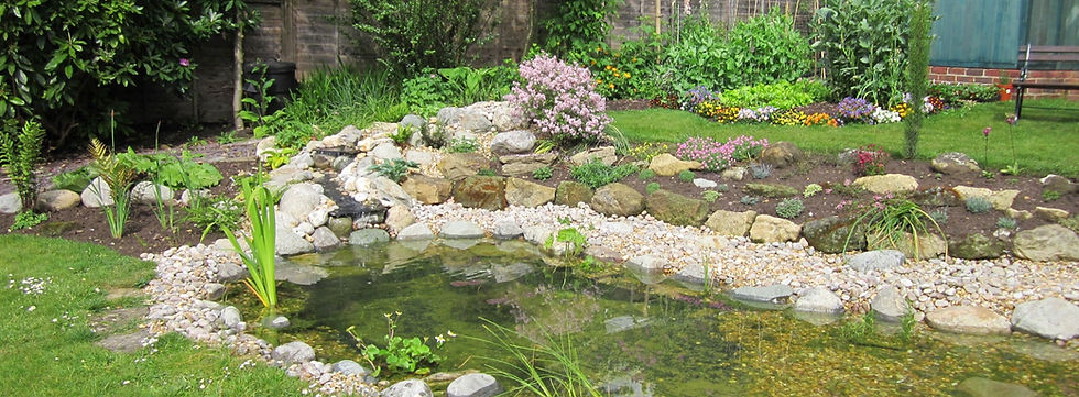 Image 11-06-2017 at 18.36.jpg